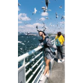 旅行风景7352