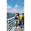 旅行风景7354
