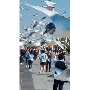 旅行风景7355