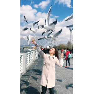 旅行风景7356