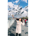 旅行风景7356