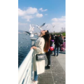 旅行风景7363
