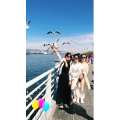 旅行风景7365