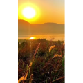 旅行风景7372