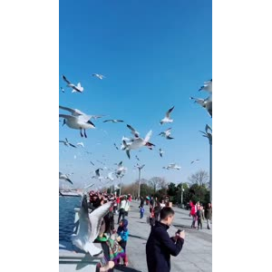 旅行风景7373