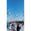旅行风景7373