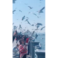 旅行风景7374