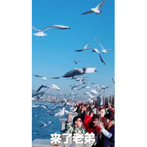 旅行风景7379