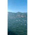 旅行风景7382