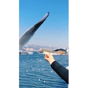旅行风景7387