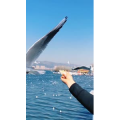 旅行风景7387