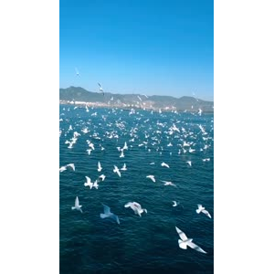 旅行风景7389