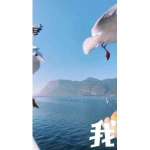 旅行风景7392