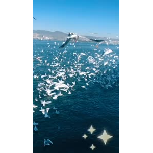 旅行风景7397