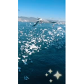 旅行风景7397