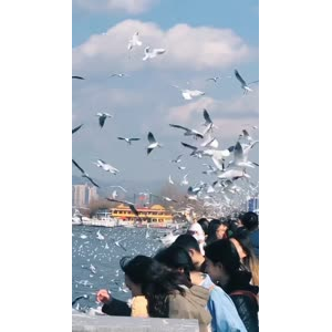 旅行风景7399