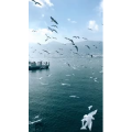 旅行风景7402