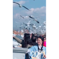 旅行风景7403