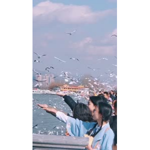 旅行风景7404