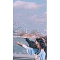 旅行风景7404