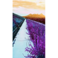旅行风景7405