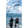 旅行风景7406