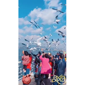 旅行风景7407
