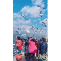 旅行风景7407