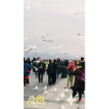 旅行风景7408