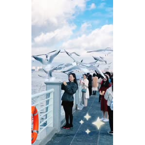 旅行风景7410