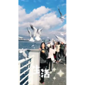 旅行风景7412