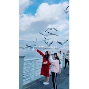 旅行风景7413