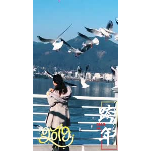 旅行风景7414