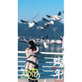 旅行风景7414