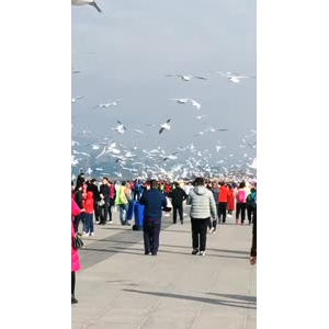 旅行风景7418
