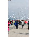 旅行风景7418