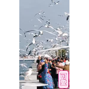 旅行风景7419