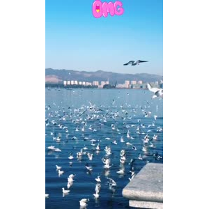 旅行风景7420