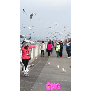 旅行风景7421