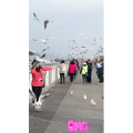 旅行风景7421