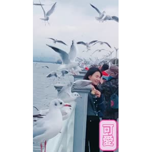 旅行风景7422