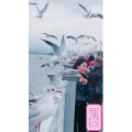 旅行风景7422