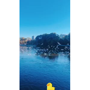 旅行风景7425