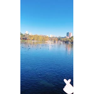 旅行风景7426