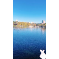 旅行风景7426