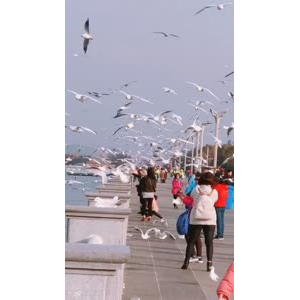 旅行风景7429