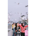 旅行风景7431