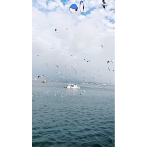 旅行风景7435