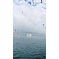 旅行风景7435