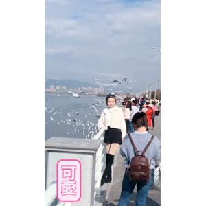 旅行风景7436